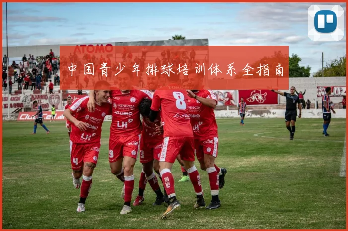 中国青少年排球培训体系全指南