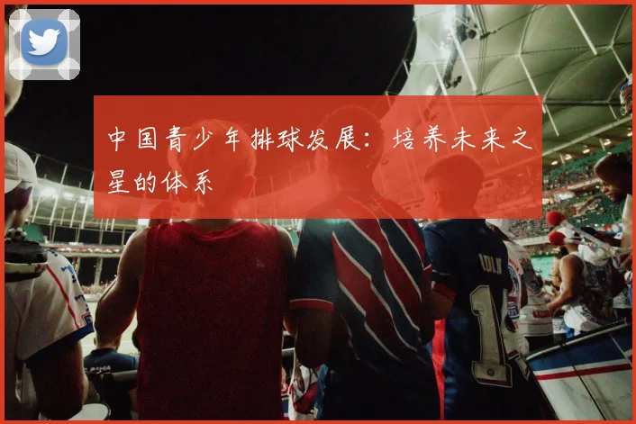 中国青少年排球发展：培养未来之星的体系