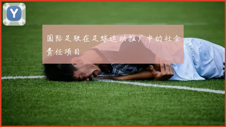 国际足联在足球运动推广中的社会责任项目