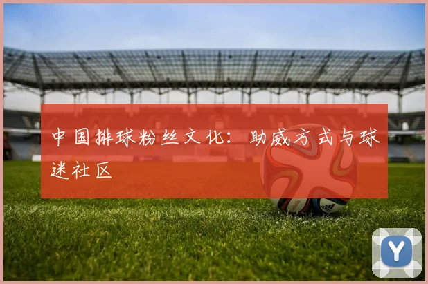中国排球粉丝文化：助威方式与球迷社区