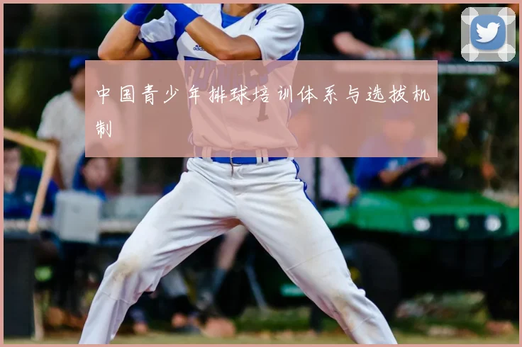 中国青少年排球培训体系与选拔机制
