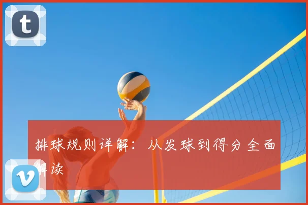排球规则详解：从发球到得分全面解读