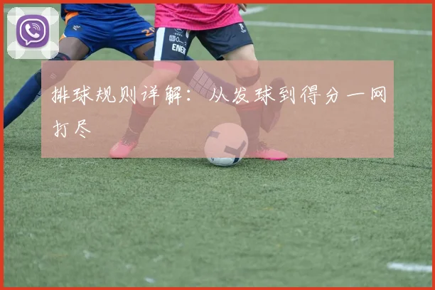 排球规则详解：从发球到得分一网打尽