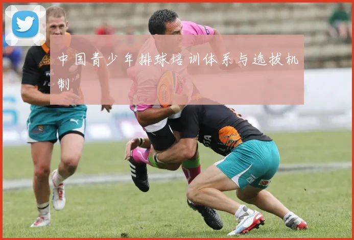 中国青少年排球培训体系与选拔机制